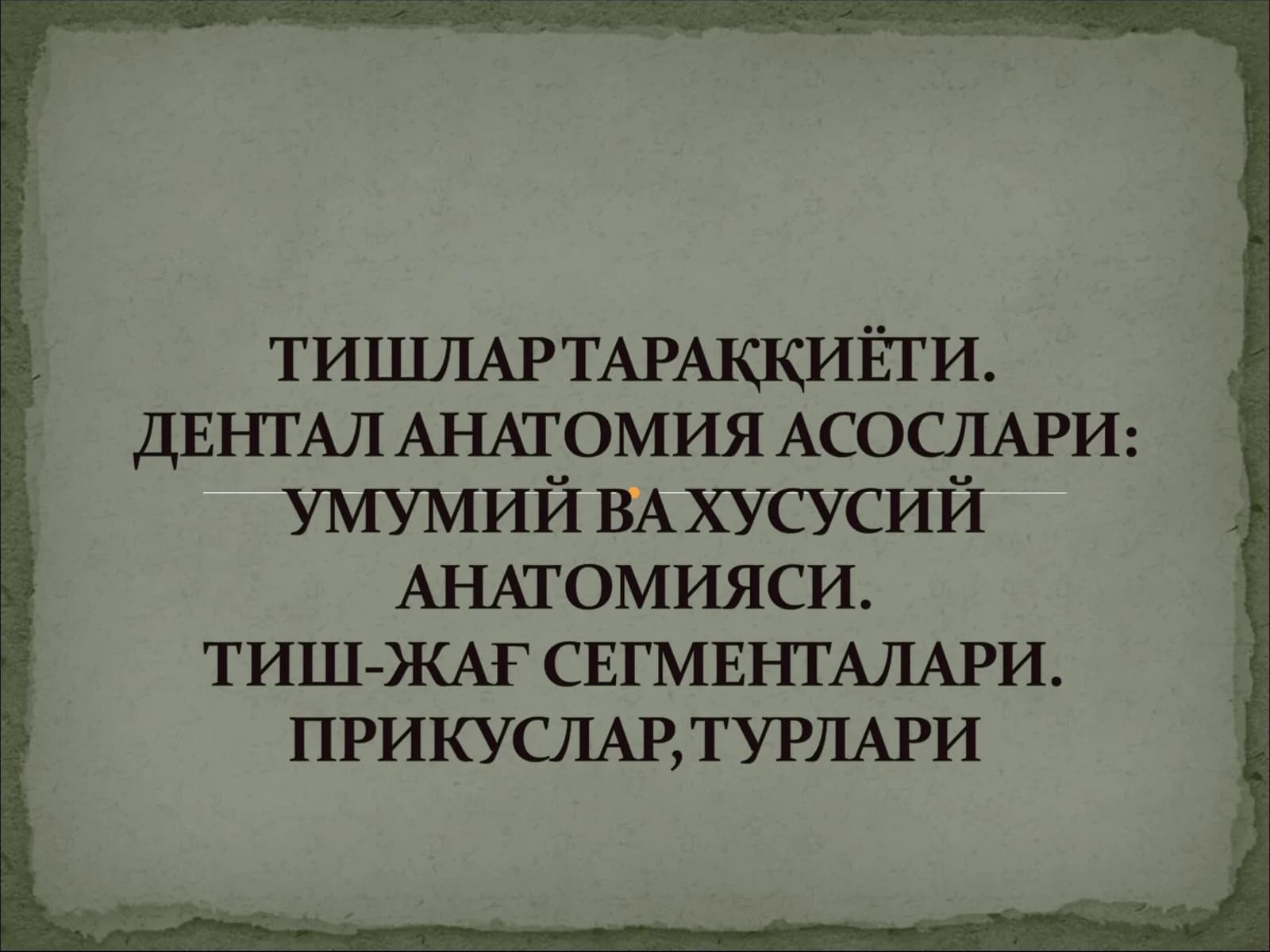 Тишларнинг хусусий анатомияси