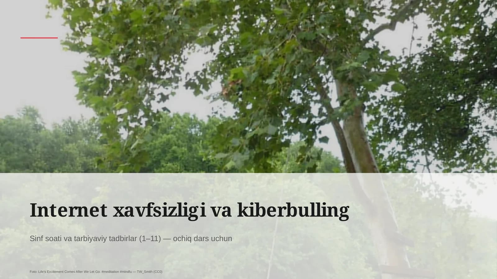 Internet xavfsizligi va kiberbulling