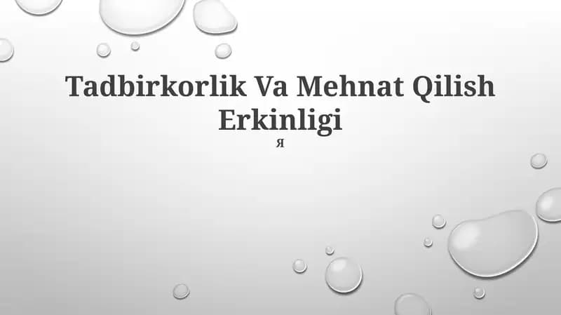 Tadbirkorlik Va Mehnat Qilish Erkinligi