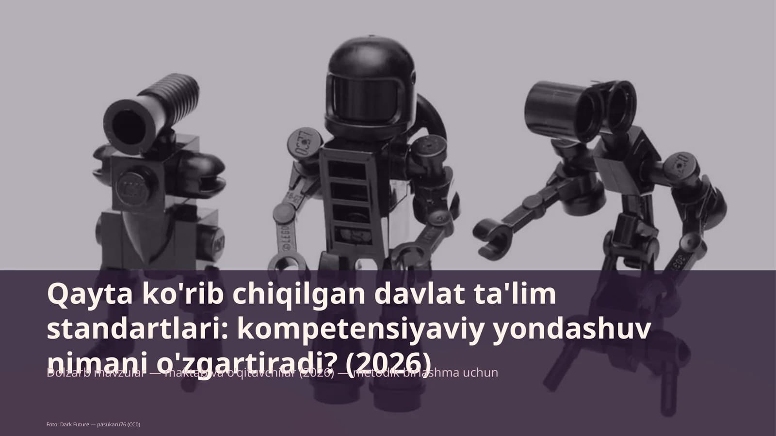 Davlat ta'lim standartlari