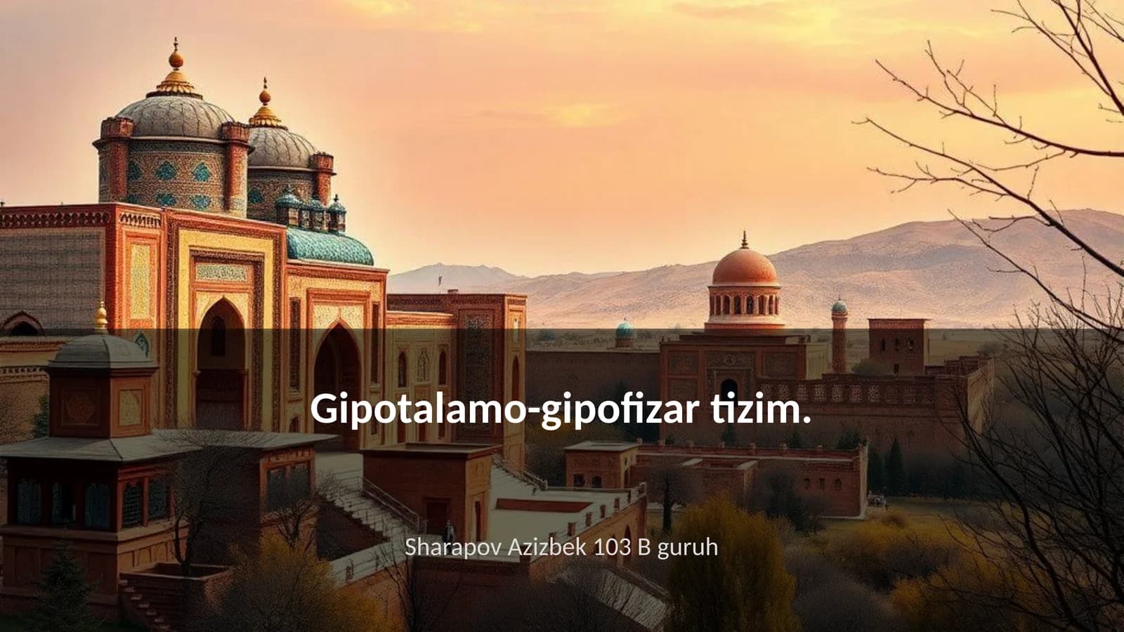 Gipotalamo-gipofizar tizim