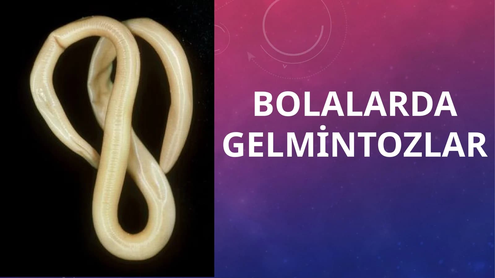 Bolalarda gelmintozlar