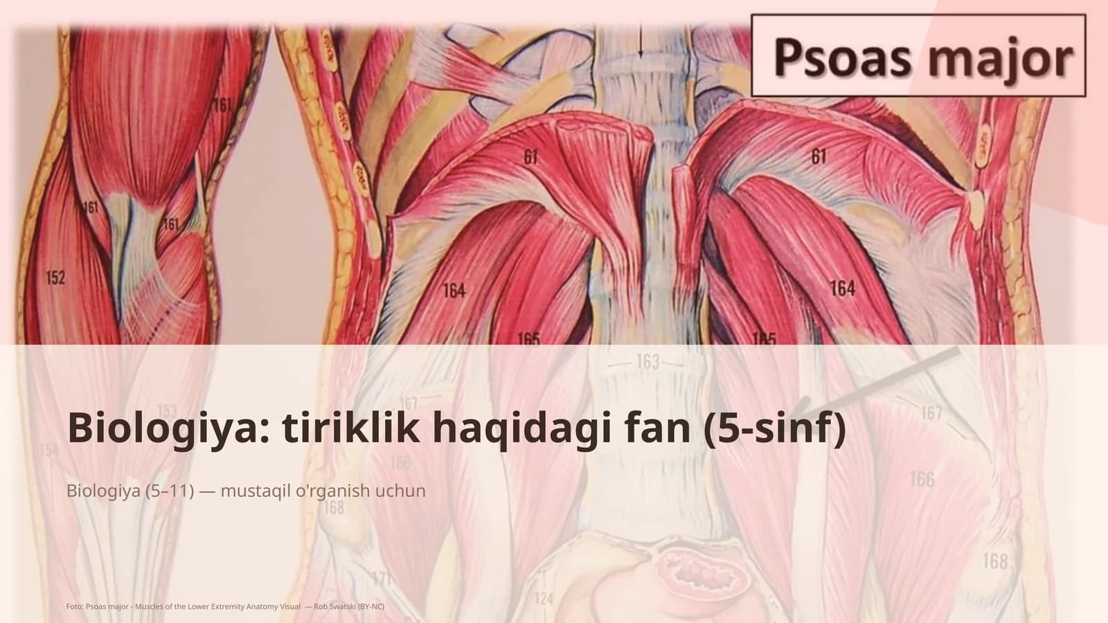 Biologiya: tiriklik haqidagi fan (5-sinf)