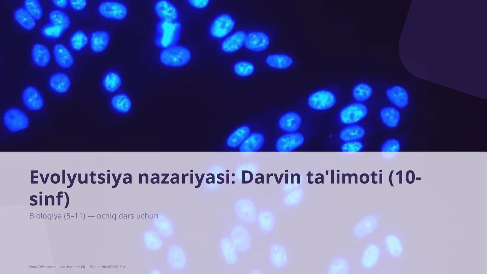 Evolyutsiya nazariyasi: Darvin ta'limoti (10-sinf)