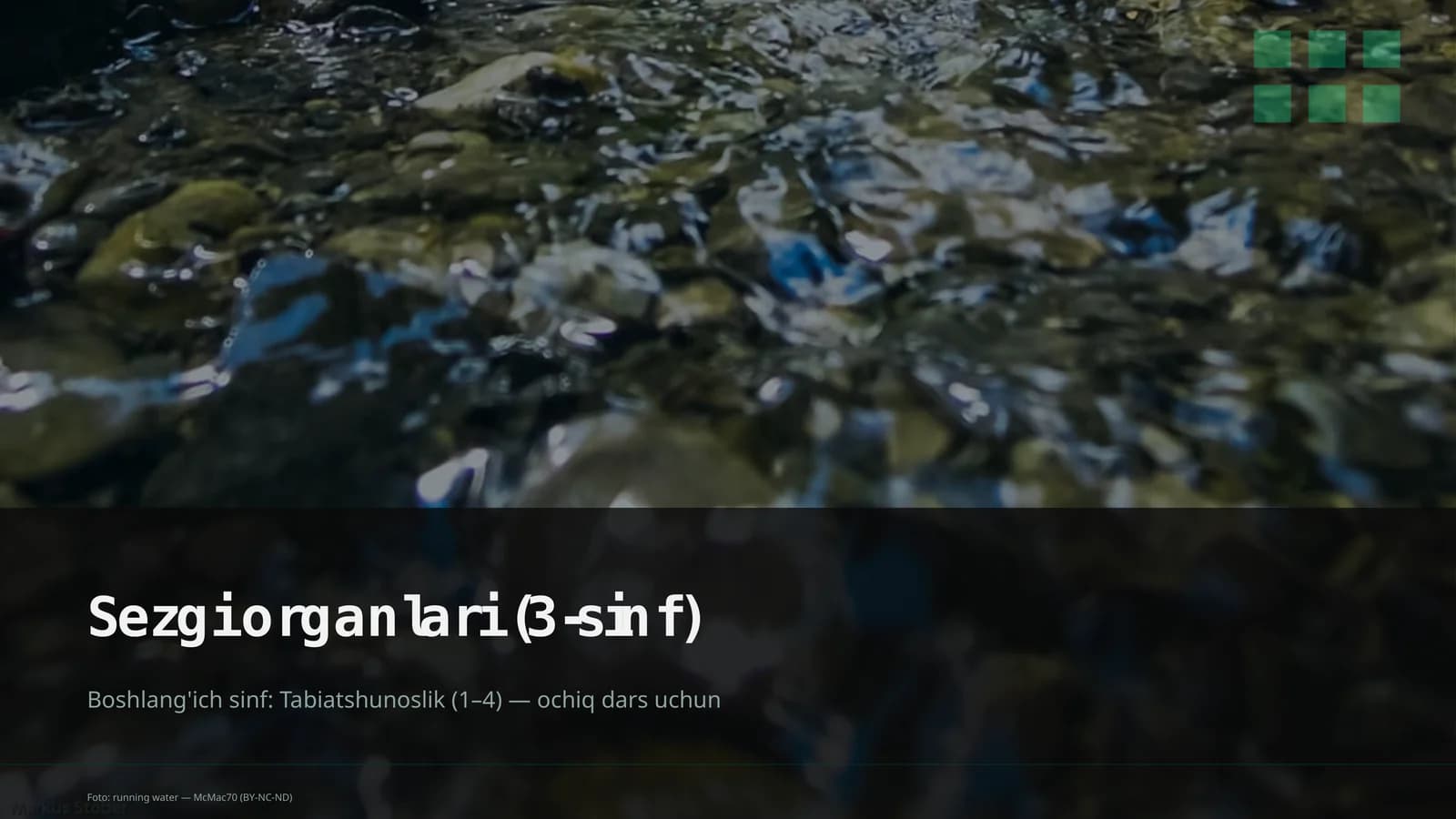 Sezgi organlari (3-sinf)