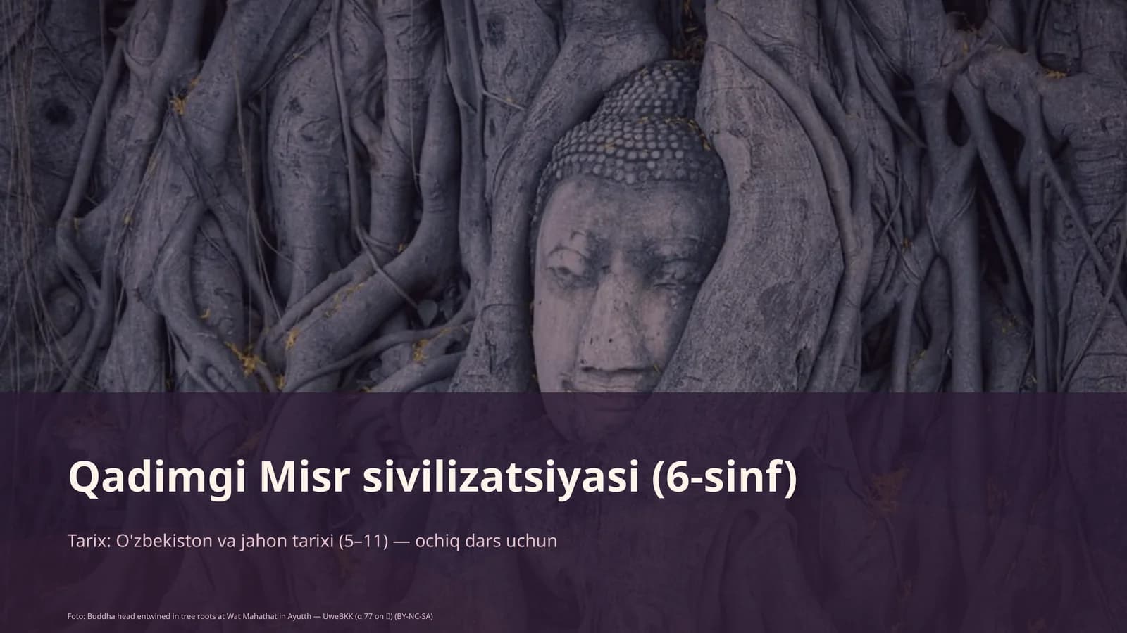 Qadimgi Misr sivilizatsiyasi (6-sinf)