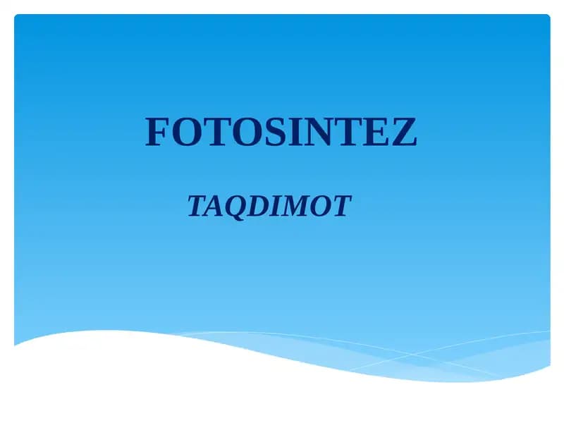 FOTOSINTEZ