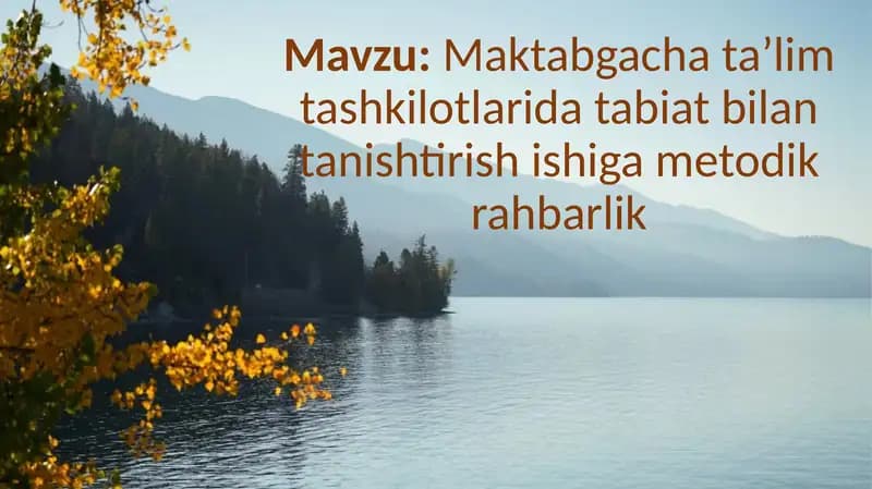 Maktabgacha ta’lim tashkilotlarida tabiat bilan tanishtirish ishiga metodik rahbarlik