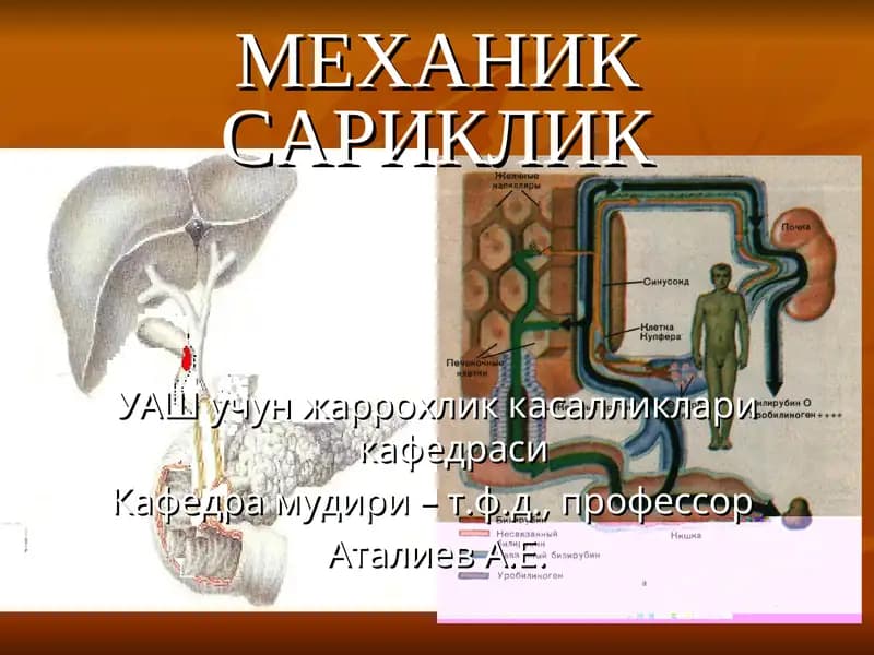 Механиксариклик