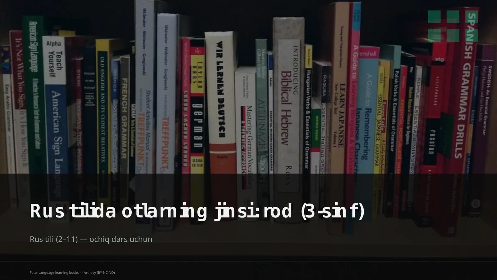 Rus tilida otlarning jinsi: rod (3-sinf)