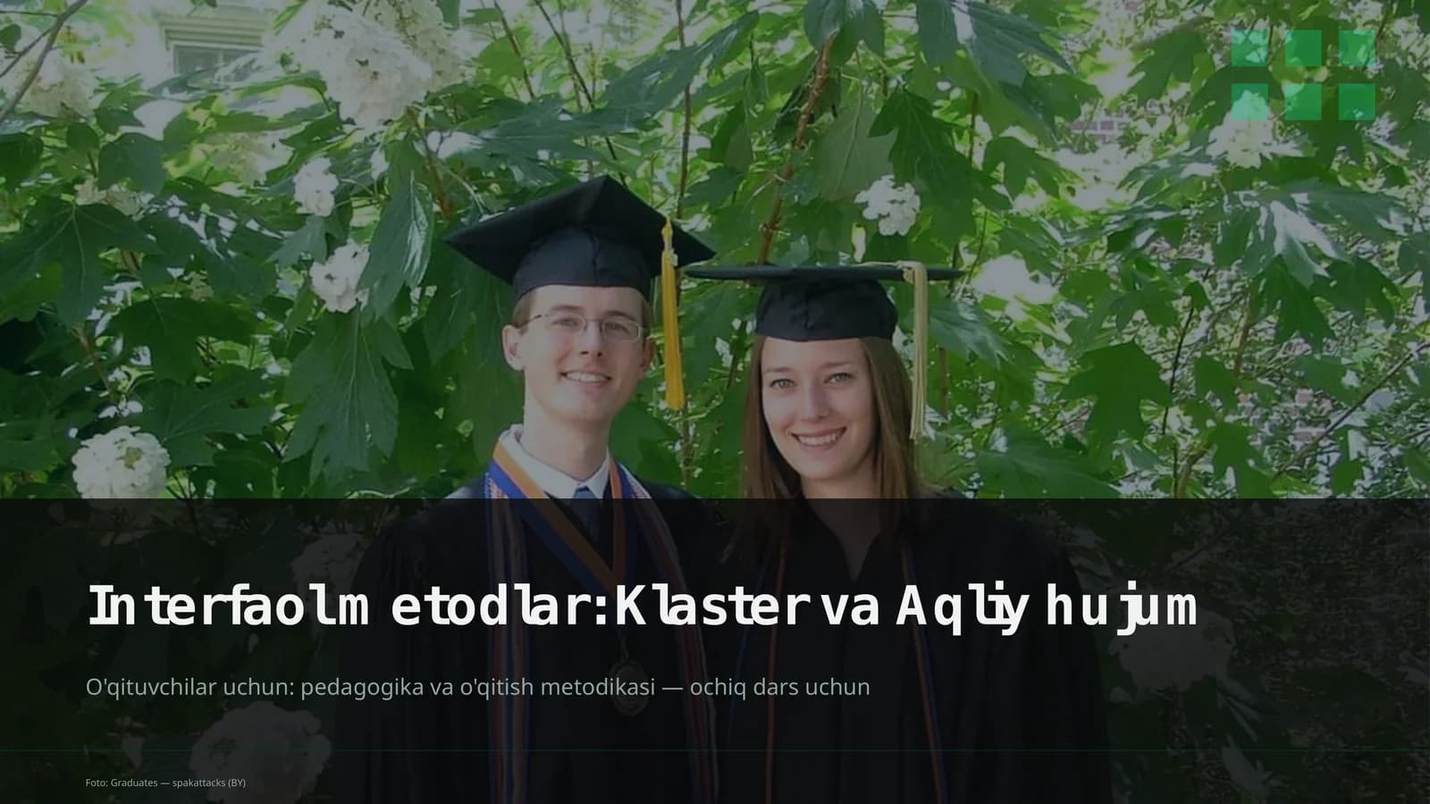 Interfaol metodlar: Klaster va Aqliy hujum