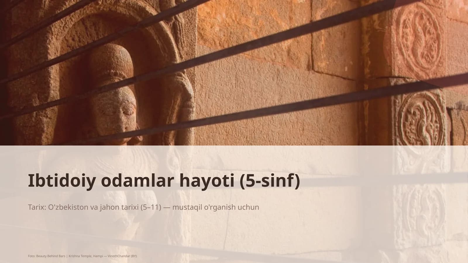 Ibtidoiy odamlar hayoti (5-sinf)