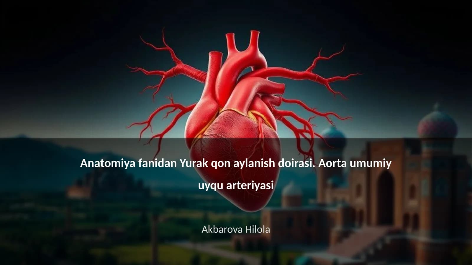 Yurak qon aylanish doirasi