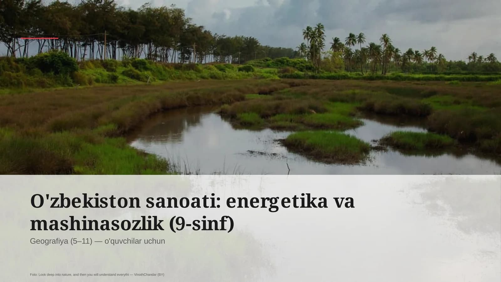 O'zbekiston sanoati: energetika va mashinasozlik (9-sinf)