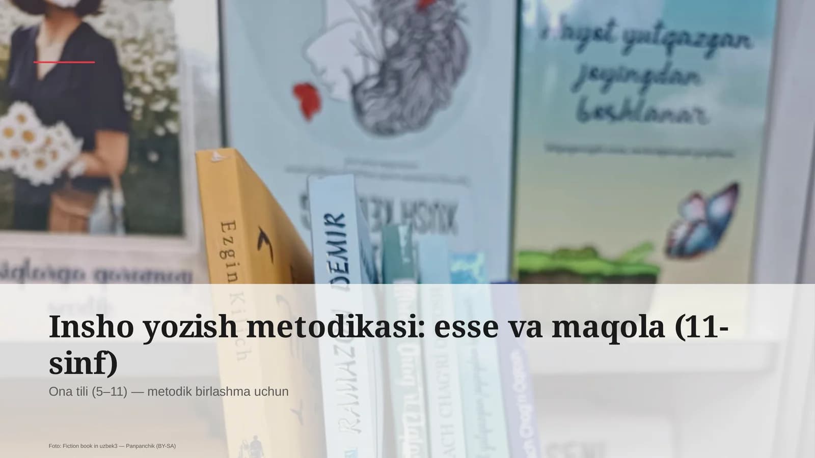 Insho yozish metodikasi: esse va maqola (11-sinf)