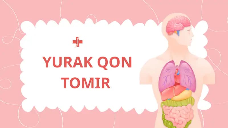 Yurak qon tomir