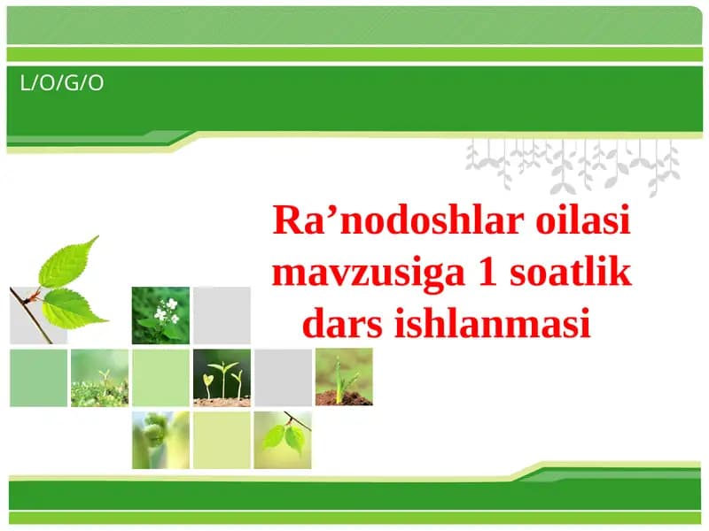Ra’nodoshlar oilasi mavzusiga 1 soatlik dars ishlanmasi