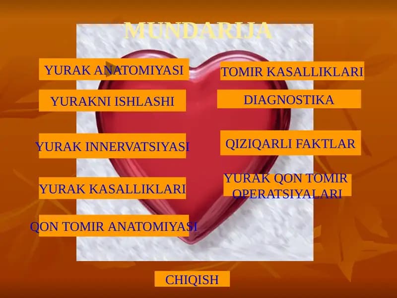 Yurak Anatomiyasi