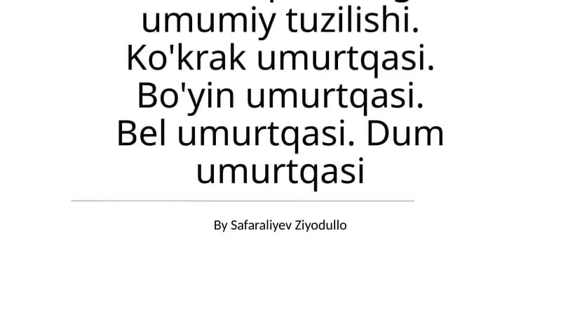 Umurtqalarning umumiy tuzilishi