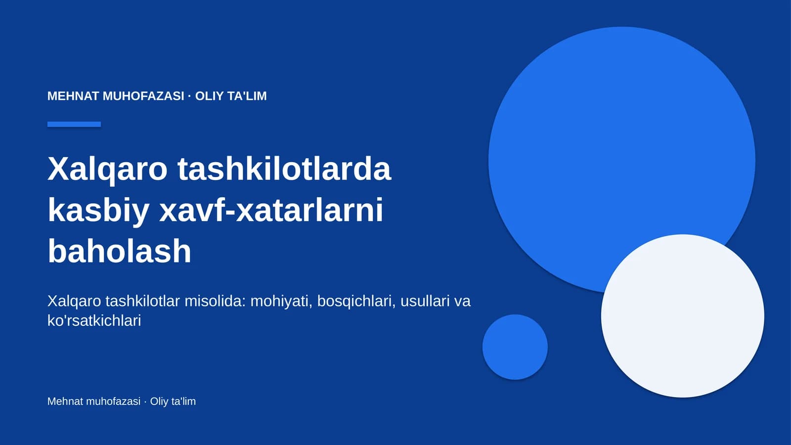 xalqaro tashkilotlarda kasbiy xavf xatarlarni baholash 4276