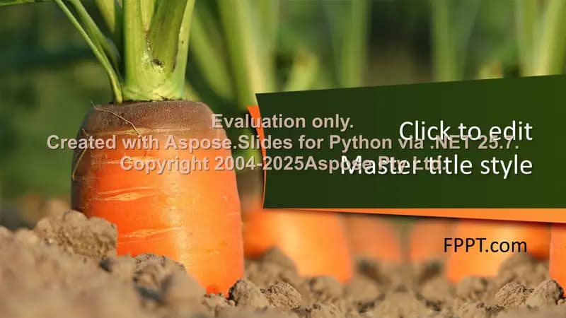 Presentation Templates
