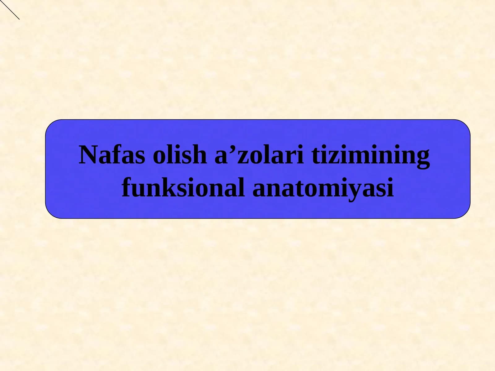 Nafas olish a’zolari tizimining funksional anatomiyasi