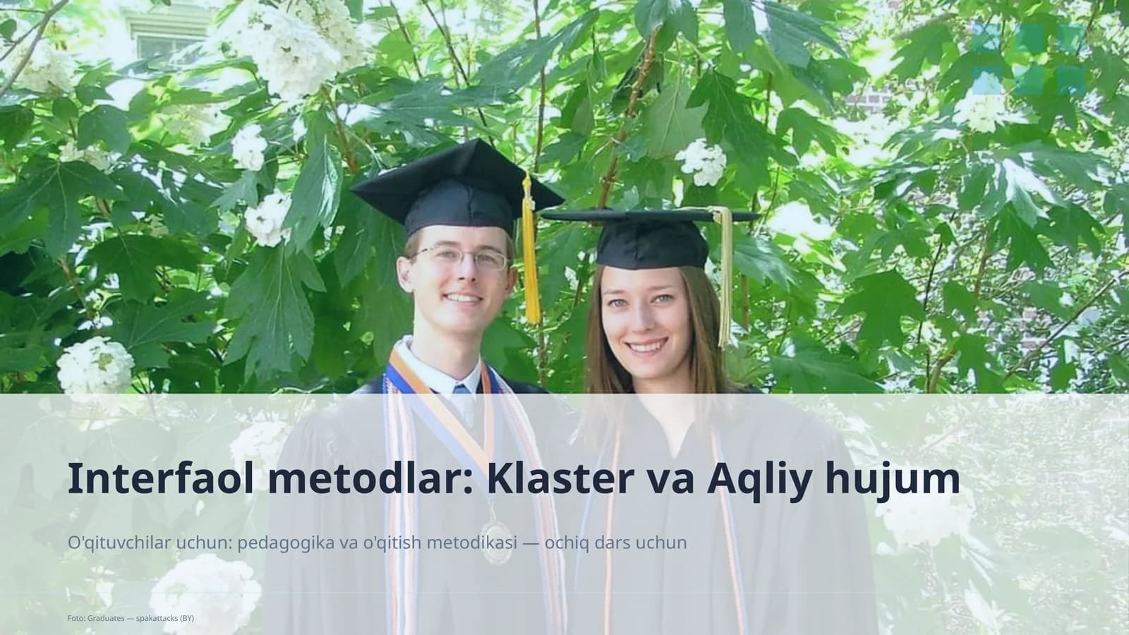 Interfaol metodlar: Klaster va Aqliy hujum