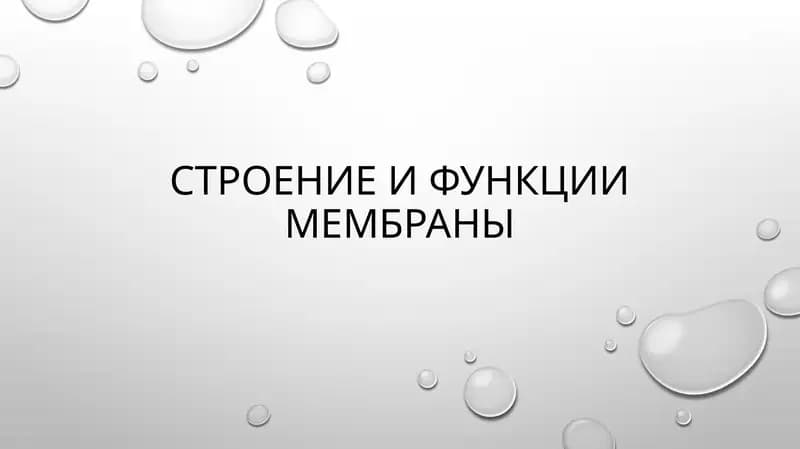 слайд,презинтация,slayd