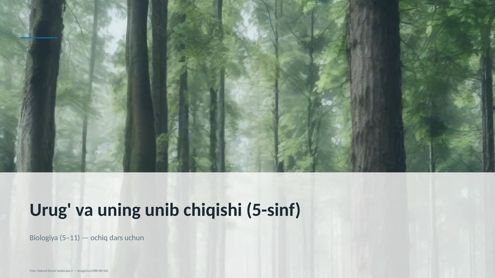 Urug' va uning unib chiqishi (5-sinf)