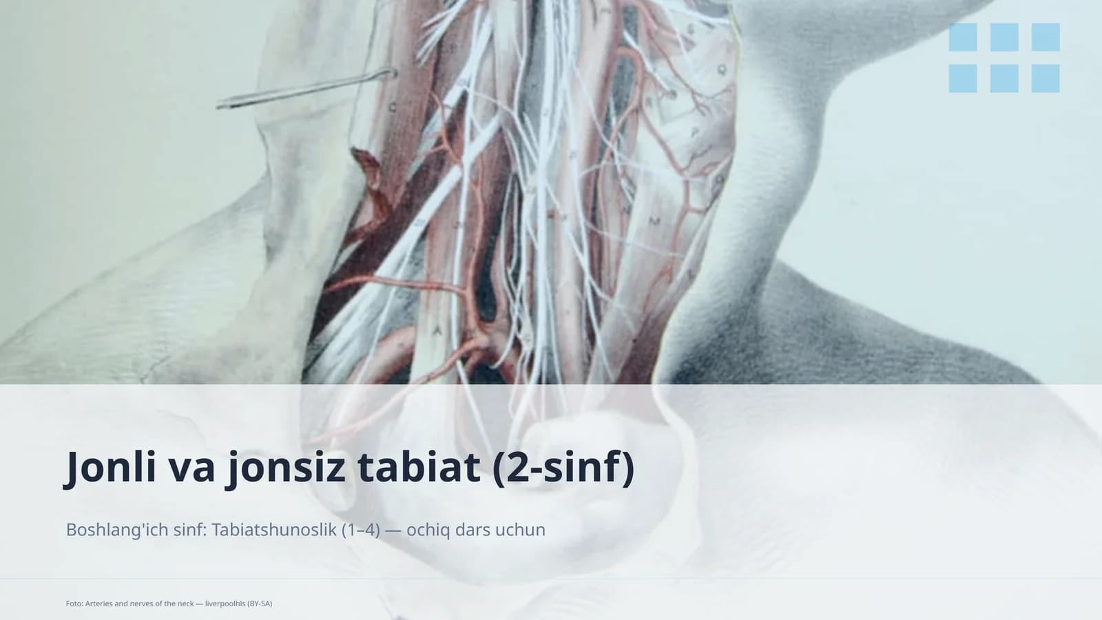 Jonli va jonsiz tabiat (2-sinf)
