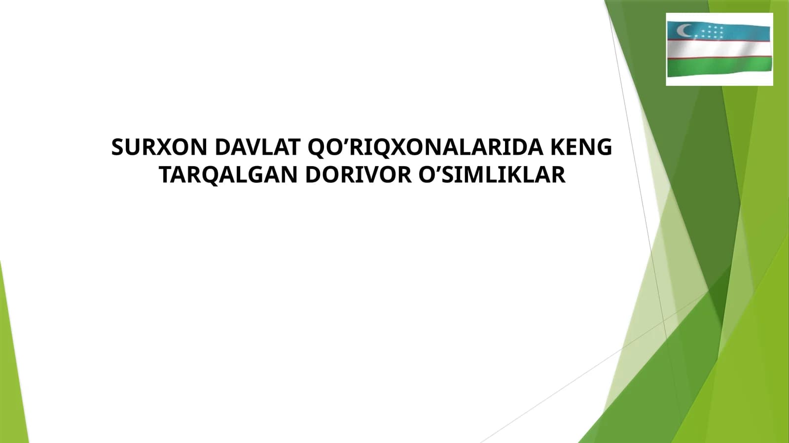 SURXON DAVLAT QO’RIQXONALARIDA KENG TARQALGAN DORIVOR O’SIMLIKLAR