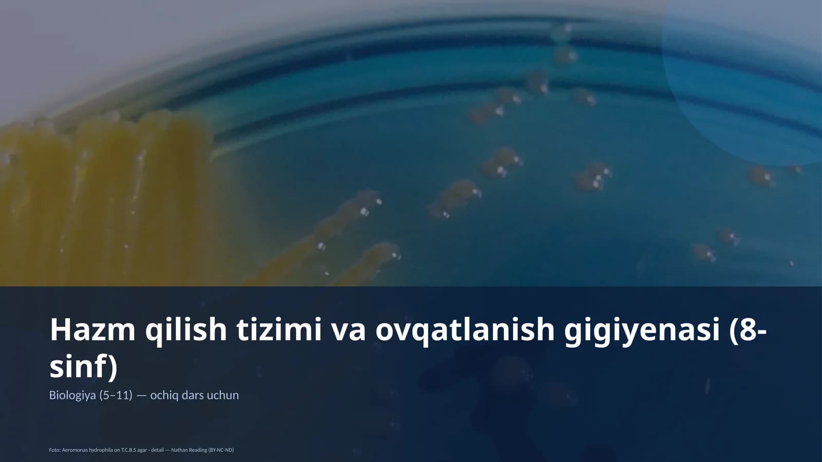 Hazm qilish tizimi va ovqatlanish gigiyenasi (8-sinf)
