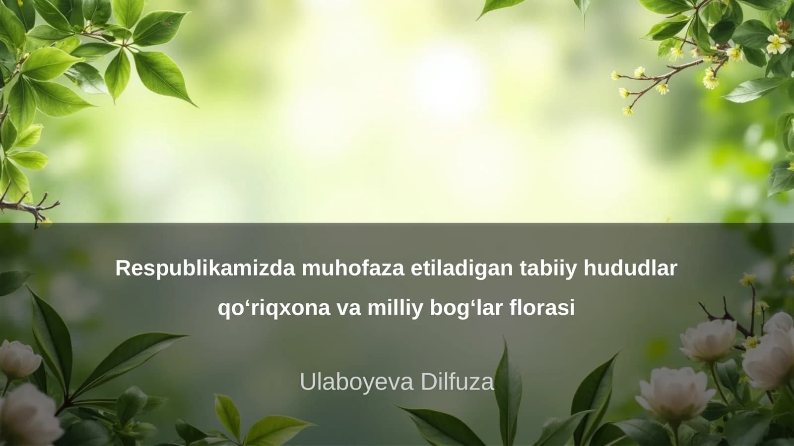 Respublikamizda muhofaza etiladigan tabiiy hududlar qo‘riqxona va milliy bog‘lar florasi
