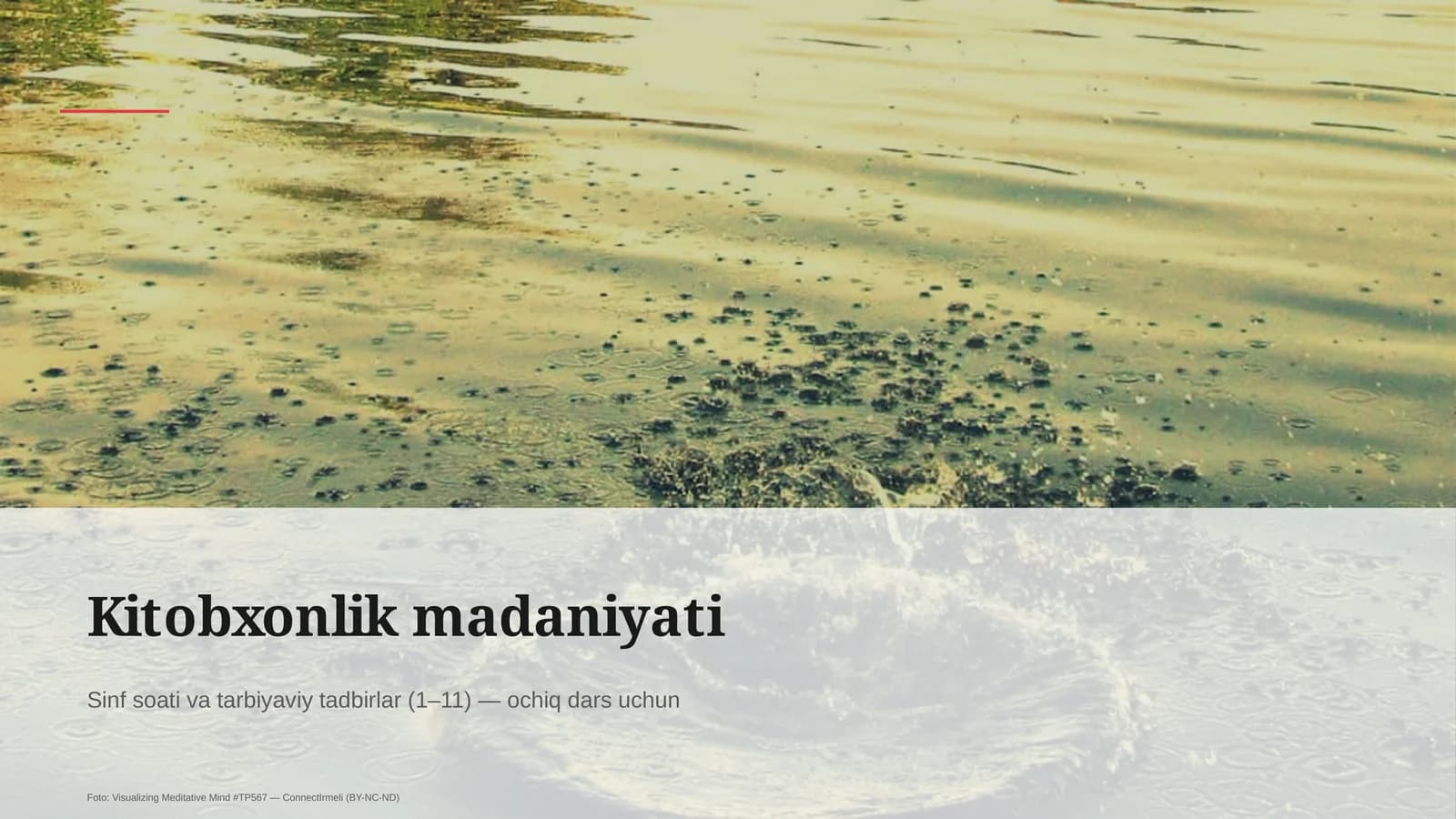 Kitobxonlik madaniyati