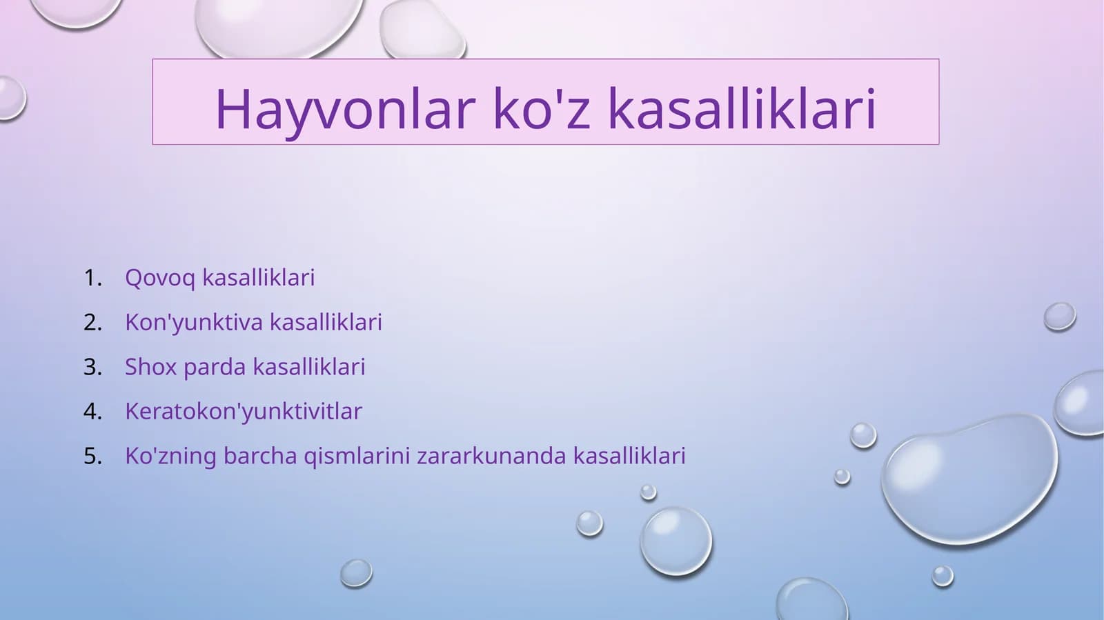 Hayvonlarda ko'z kasalliklari