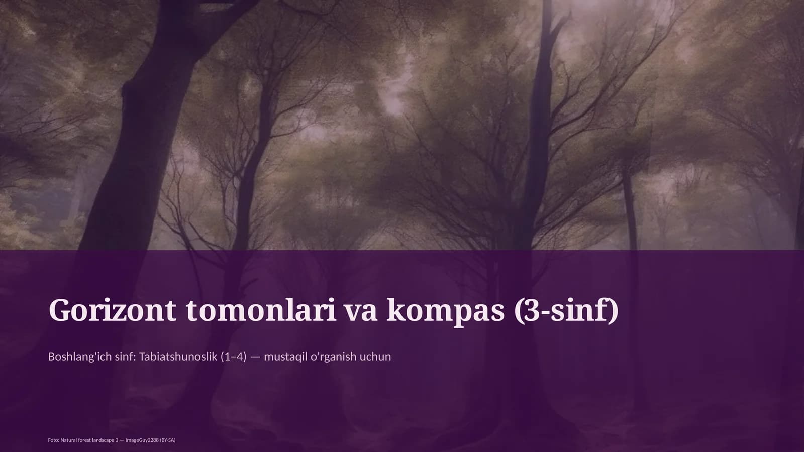 Gorizont tomonlari va kompas (3-sinf)