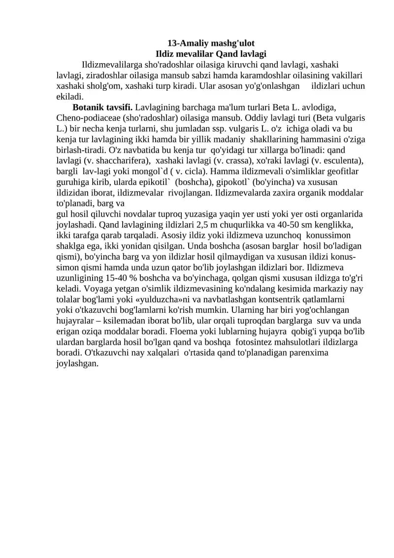 Ildiz mevalilar Qand lavlagi