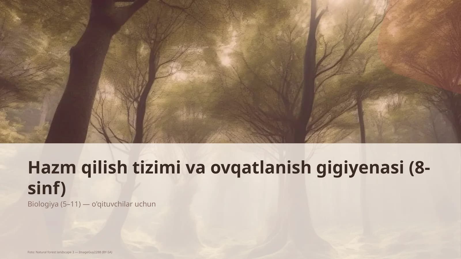 Hazm qilish tizimi va ovqatlanish gigiyenasi (8-sinf)