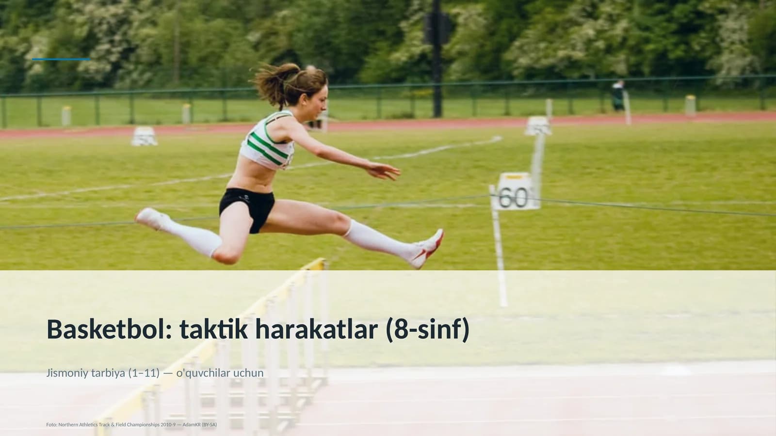Basketbol: taktik harakatlar (8-sinf)