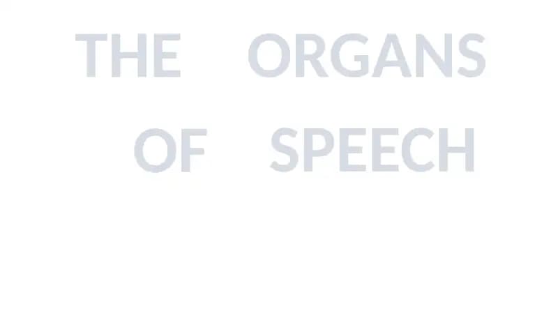 THE ORGANS OF SPEECH