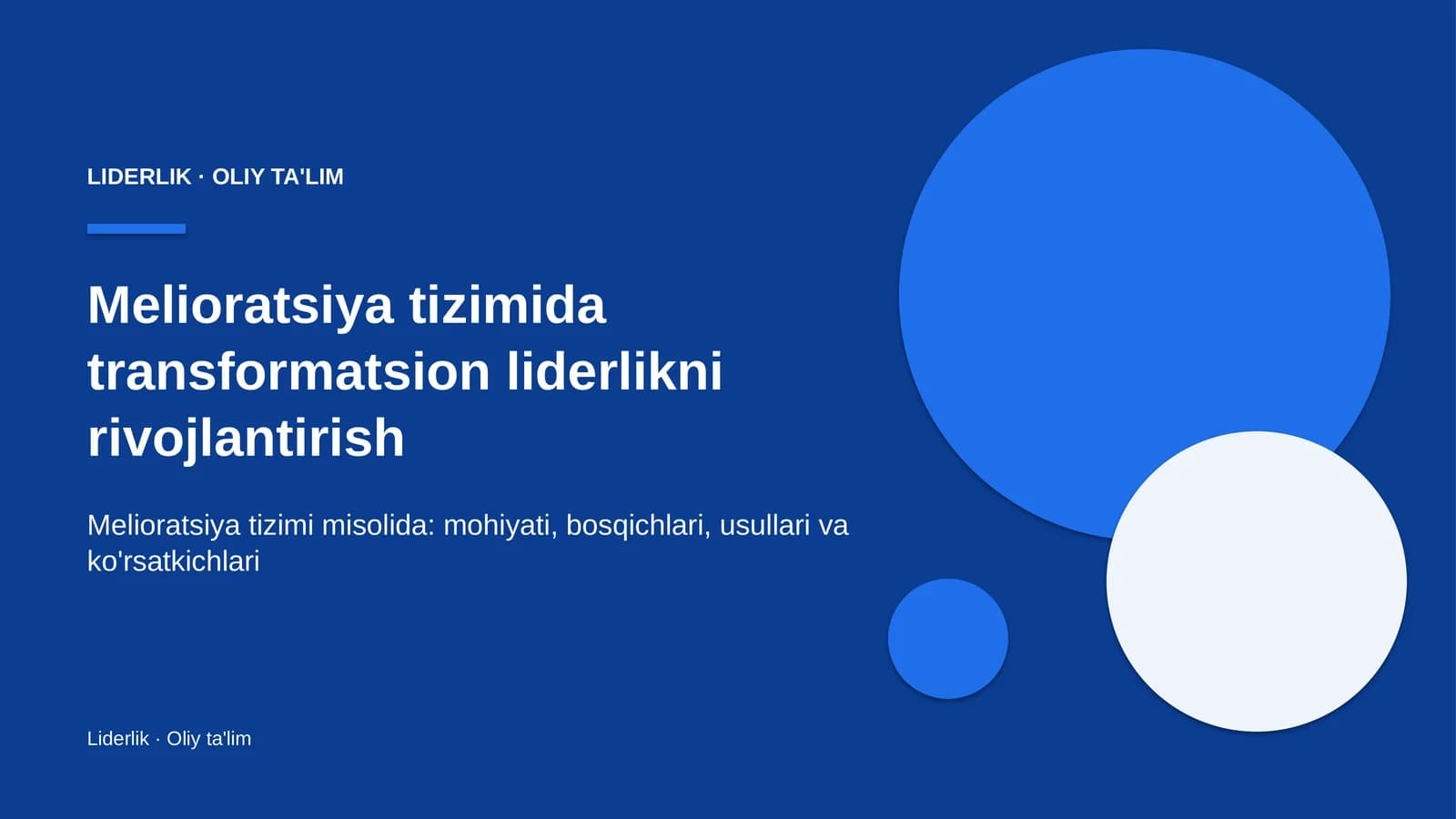 melioratsiya tizimida transformatsion liderlikni rivojlantirish 2374