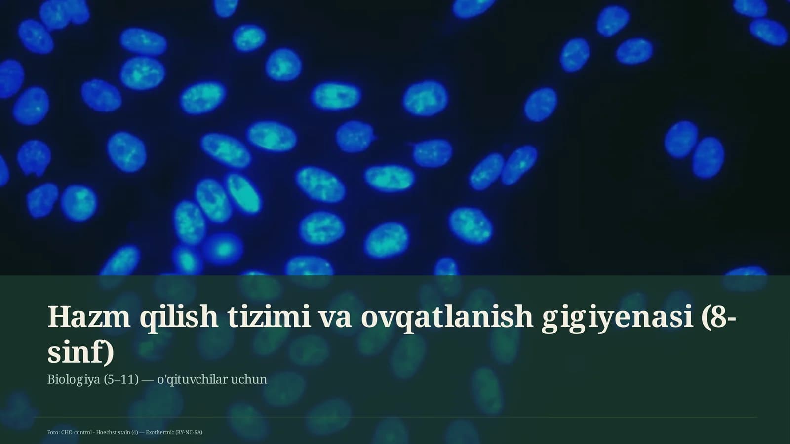 Hazm qilish tizimi va ovqatlanish gigiyenasi (8-sinf)
