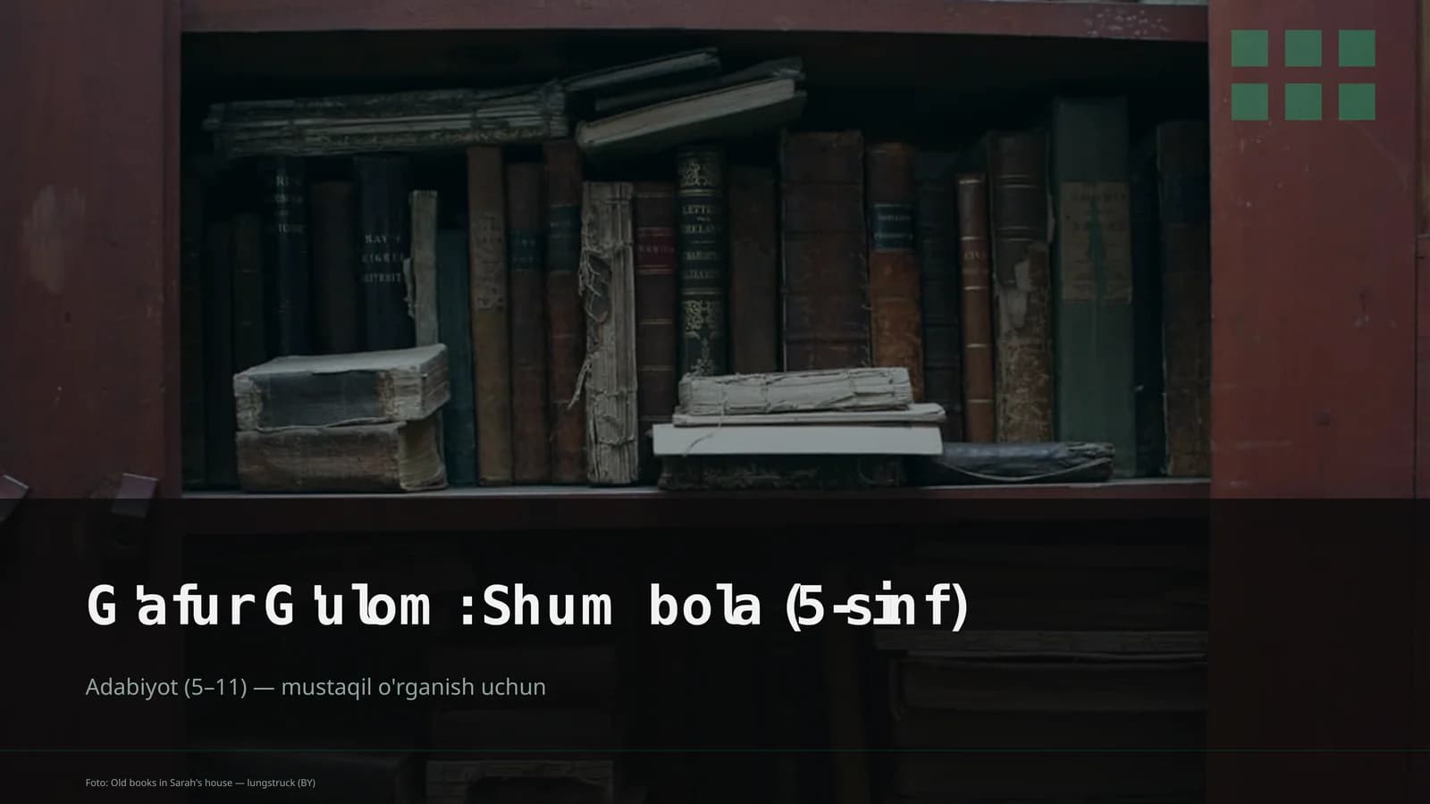 G'afur G'ulom: Shum bola (5-sinf)