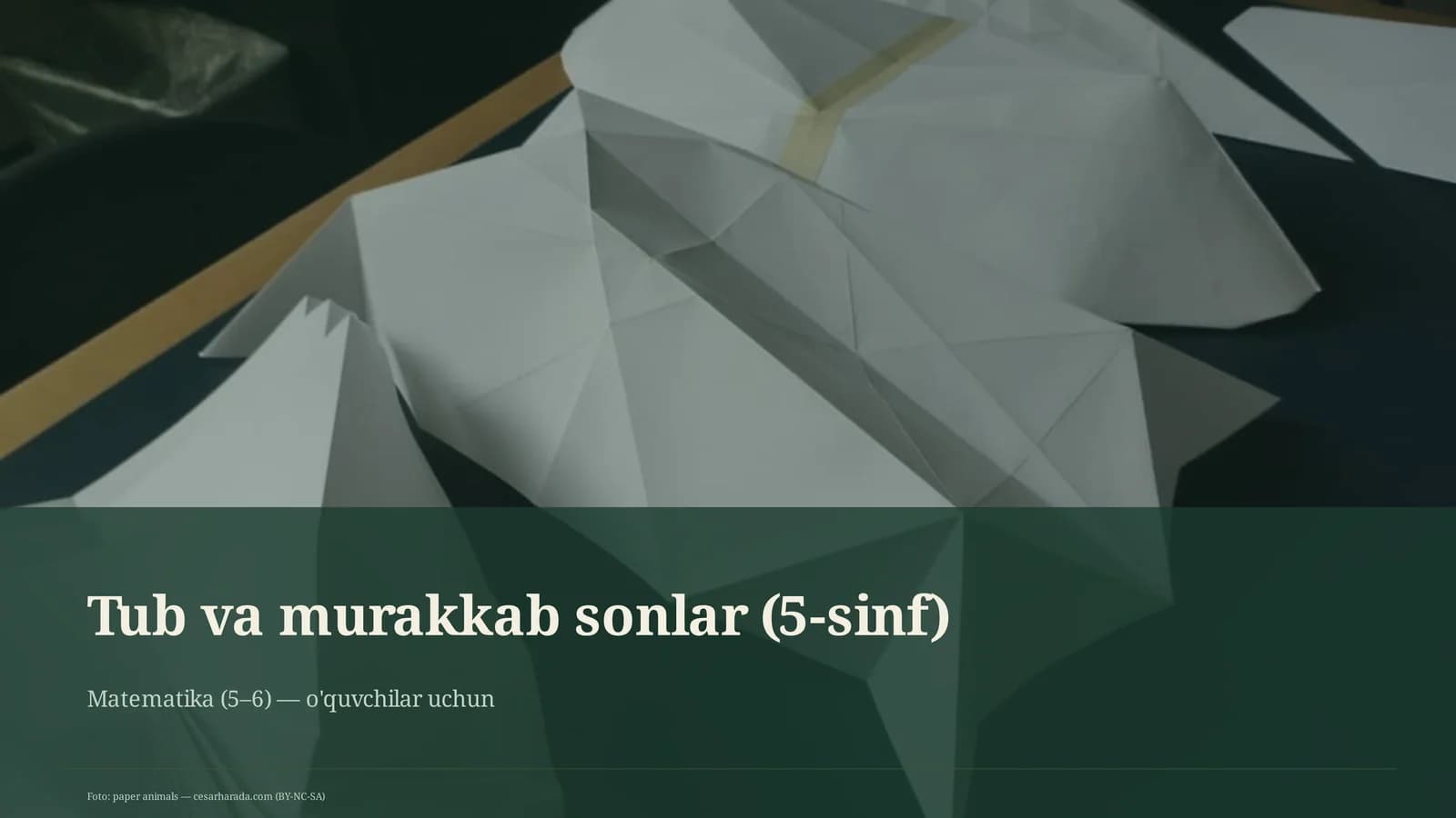 Tub va murakkab sonlar (5-sinf)