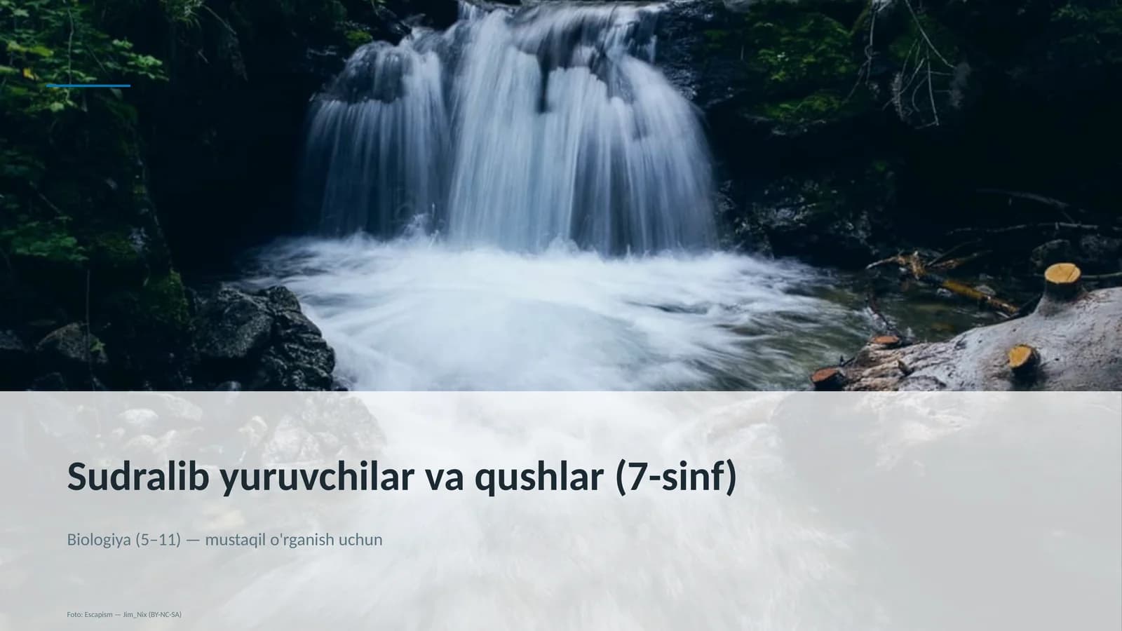Sudralib yuruvchilar va qushlar (7-sinf)