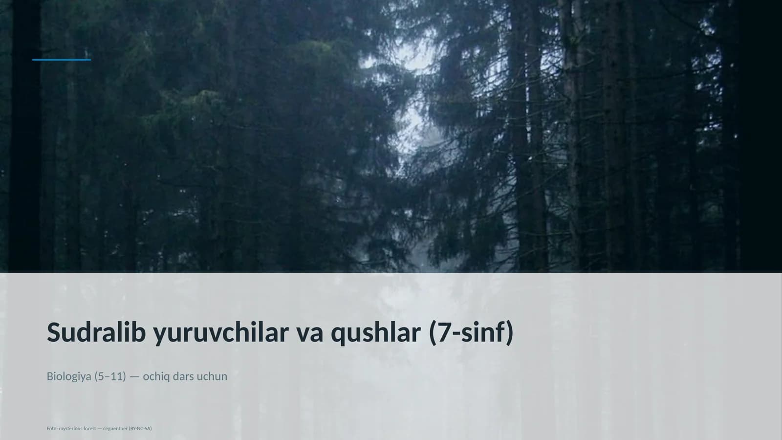 Sudralib yuruvchilar va qushlar (7-sinf)
