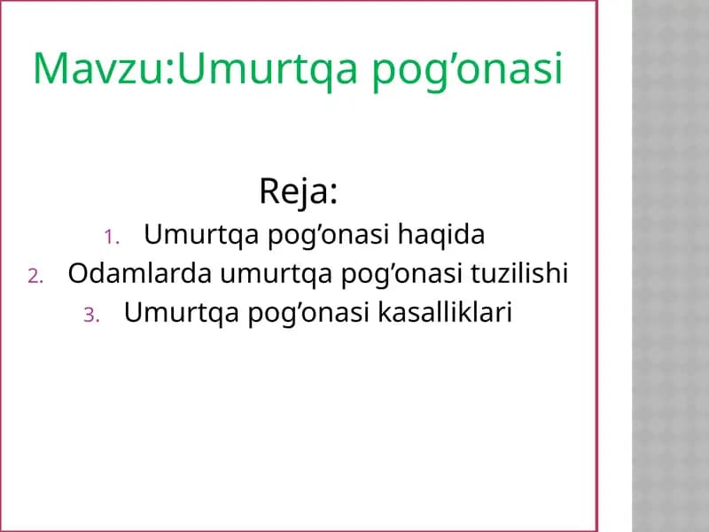Umurtqa pog’onasi