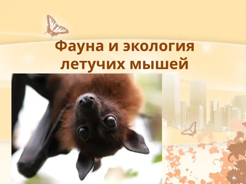 Фауна и экология летучих мышей