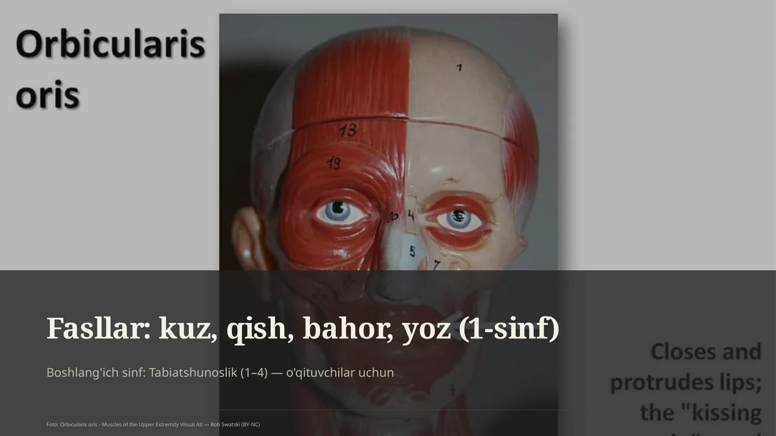Tabiatshunoslik (1–4) Dars rejasi