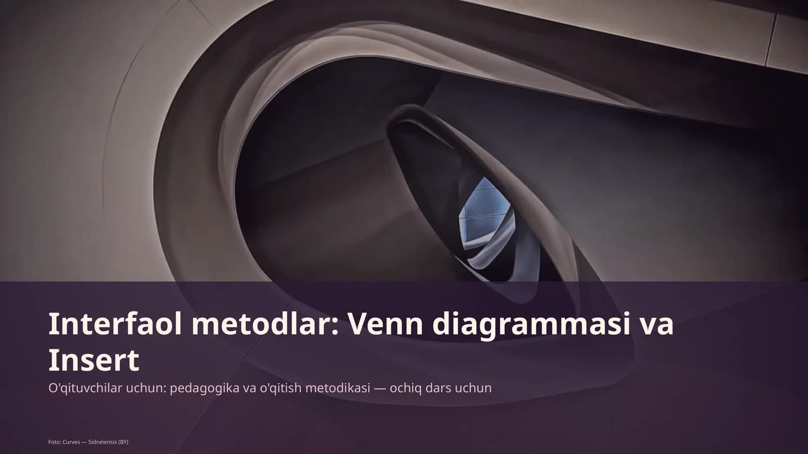 Interfaol metodlar: Venn diagrammasi va Insert